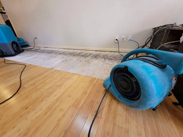 Professional Sewage Cleanup technician working in Handley, WV